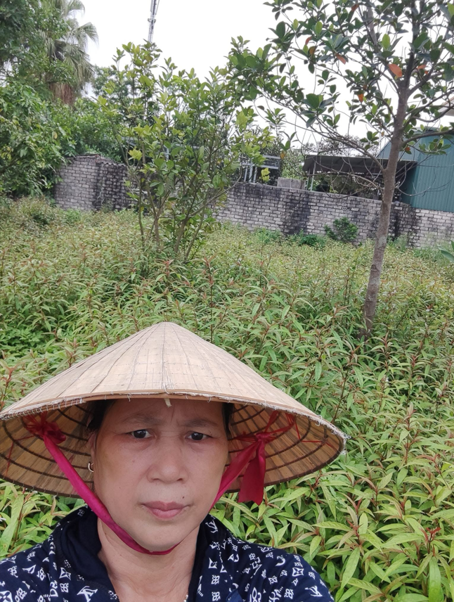 Nấu cao thảo dược thủ công